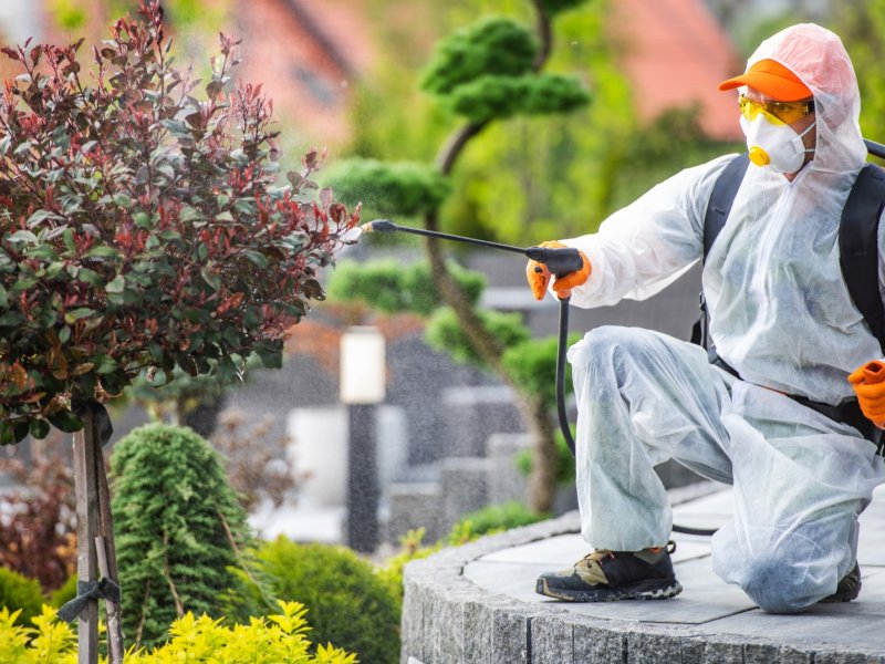 Sahilevleri Haşere İlaçlama