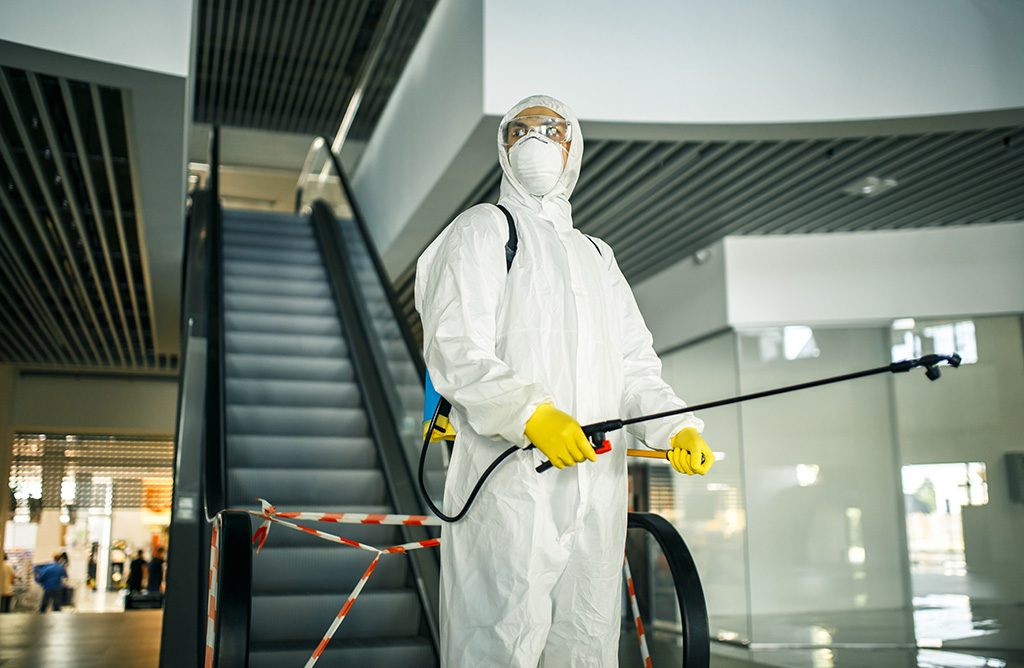 Sahilevleri Haşere İlaçlama